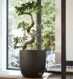 Capi Europe - Bloempot Bol Smooth NL - 35x34 - Zwart - Voor Binnen En Buiten - KBL932 22 Capi Europe - Bloempot Bol Smooth NL - 35x34 - Zwart - Voor Binnen En Buiten - KBL932 -Tuinhuis Shop 1116x1200