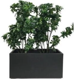 Elho Vivo Matt Finish Lang Wielen 90 - Grote Staande Plantenbak Voor Binnen & Buiten - Gemaakt Van Gereycled Plastic - L 39 X W 88 X H 41 Cm - Zwart 14 Elho Vivo Matt Finish Lang Wielen 90 - Grote Staande Plantenbak Voor Binnen & Buiten - Gemaakt Van Gereycled Plastic - L 39 X W 88 X H 41 Cm - Zwart -Tuinhuis Shop 1124x1200 1