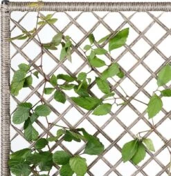 Casaria Polyrattan Bloembak – 3 Bakken Klimophek - Crème -Tuinhuis Shop 1163x1200 1