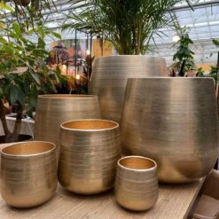 Merkloos Karakter Pot Alu Neo Gold ø40x40cm 7 Merkloos Karakter Pot Alu Neo Gold ø40x40cm -Tuinhuis Shop 1200x1198 6