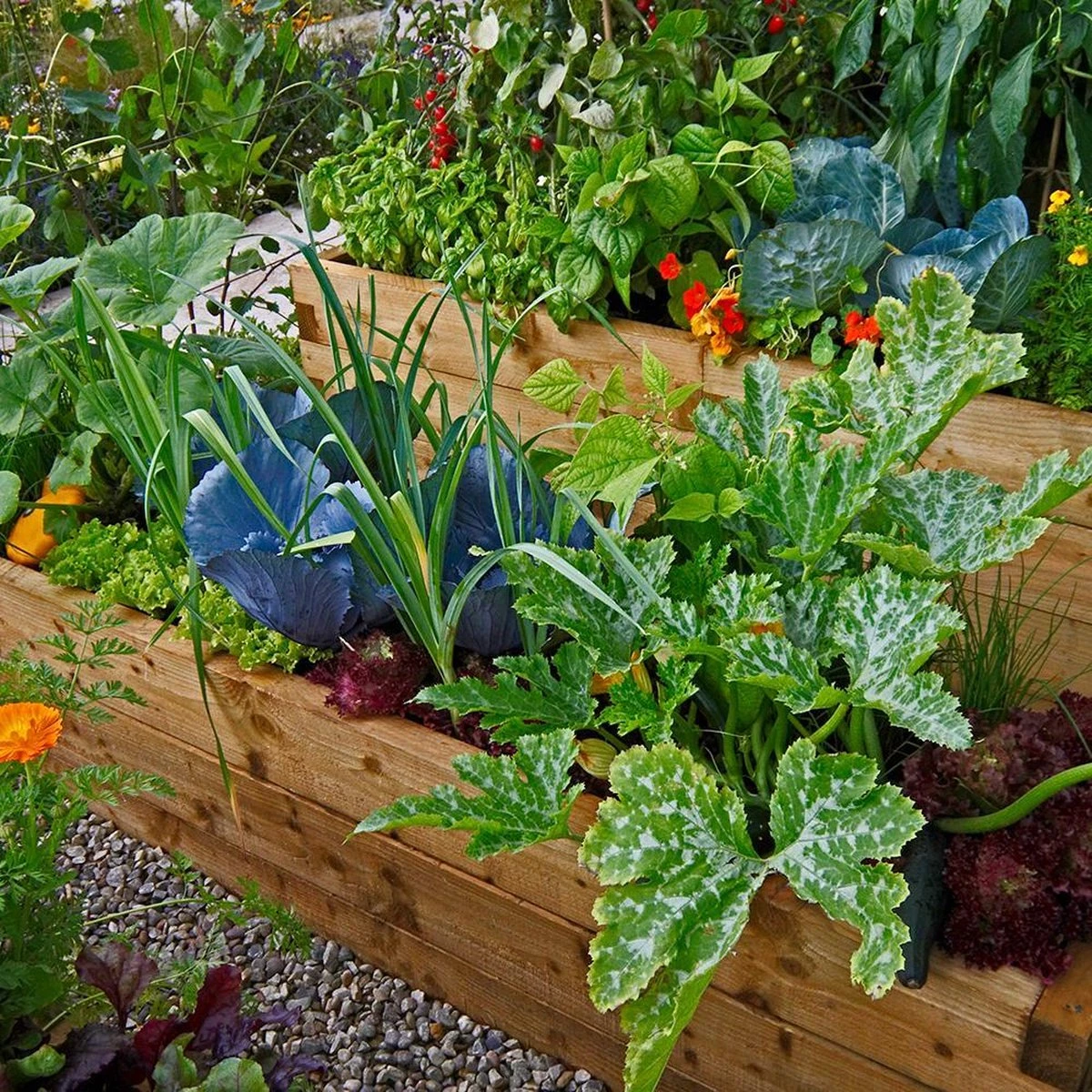 Mycorrhiza Mix Moestuin 500Gr - FungiLife Endomycorrhiza 2 Mycorrhiza Mix Moestuin 500Gr - FungiLife Endomycorrhiza - Afbeelding 2