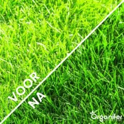 Gazonmest All-In-One (20Kg - Voor 400m2) Voor Een Diepgroen Sterk Gazon Zonder Mos En Onkruid - Complete Meststof Met Kalk En Grasversterker - Organifer 17 Gazonmest All-In-One (20Kg - Voor 400m2) Voor Een Diepgroen Sterk Gazon Zonder Mos En Onkruid - Complete Meststof Met Kalk En Grasversterker - Organifer -Tuinhuis Shop 1200x1200 195