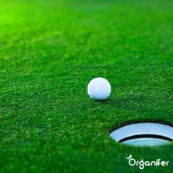 Gazonmest All-In-One (20Kg - Voor 400m2) Voor Een Diepgroen Sterk Gazon Zonder Mos En Onkruid - Complete Meststof Met Kalk En Grasversterker - Organifer 25 Gazonmest All-In-One (20Kg - Voor 400m2) Voor Een Diepgroen Sterk Gazon Zonder Mos En Onkruid - Complete Meststof Met Kalk En Grasversterker - Organifer -Tuinhuis Shop 1200x1200 203