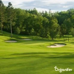 Gazonmest All-In-One (20Kg - Voor 400m2) Voor Een Diepgroen Sterk Gazon Zonder Mos En Onkruid - Complete Meststof Met Kalk En Grasversterker - Organifer 26 Gazonmest All-In-One (20Kg - Voor 400m2) Voor Een Diepgroen Sterk Gazon Zonder Mos En Onkruid - Complete Meststof Met Kalk En Grasversterker - Organifer -Tuinhuis Shop 1200x1200 204