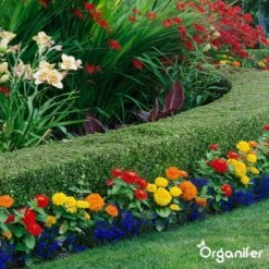 Lavagruis Uit Eifel Oergesteente (20Kg Voor 200m2) Grof Lavameel 0-2mm - Organifer -Tuinhuis Shop 1200x1200 212