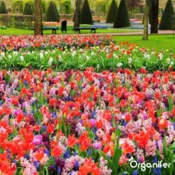 Lavagruis Uit Eifel Oergesteente (20Kg Voor 200m2) Grof Lavameel 0-2mm - Organifer -Tuinhuis Shop 1200x1200 213