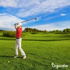 Lavagruis Uit Eifel Oergesteente (20Kg Voor 200m2) Grof Lavameel 0-2mm - Organifer -Tuinhuis Shop 1200x1200 214