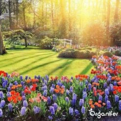 Lavagruis Uit Eifel Oergesteente (20Kg Voor 200m2) Grof Lavameel 0-2mm - Organifer -Tuinhuis Shop 1200x1200 221