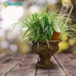 Bloomin Waterdruppelaar Van Terracotta - Waterdruppelaar Voor Planten - Druppelsysteem - Irrigatiesysteem - Watergeefsysteem - Bewateringssysteem - 8 Stuks -Tuinhuis Shop 1200x1200 337