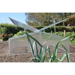 Royal Well Broeikas Silver Thyme -Tuinhuis Shop 1200x1200 366