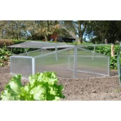 Royal Well Broeikas Silver Thyme -Tuinhuis Shop 1200x1200 367