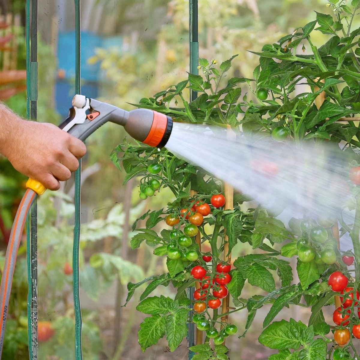 Relaxdays Tomatenkas 170 X 130 X 75 Cm - Folie Tuinkas - Grote Tomaten Kweekkas - Foliekas 6 Relaxdays Tomatenkas 170 X 130 X 75 Cm - Folie Tuinkas - Grote Tomaten Kweekkas - Foliekas - Afbeelding 6