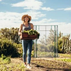 Relaxdays Tomatenkas 170 X 130 X 75 Cm - Folie Tuinkas - Grote Tomaten Kweekkas - Foliekas 15 Relaxdays Tomatenkas 170 X 130 X 75 Cm - Folie Tuinkas - Grote Tomaten Kweekkas - Foliekas -Tuinhuis Shop 1200x1200 377