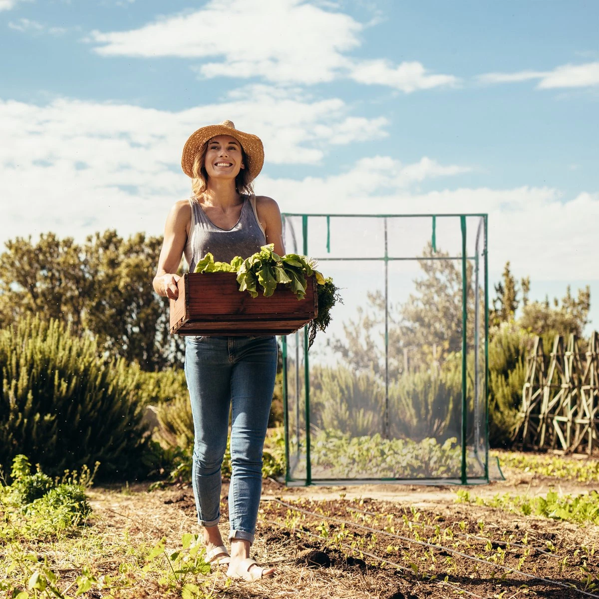 Relaxdays Tomatenkas 170 X 130 X 75 Cm - Folie Tuinkas - Grote Tomaten Kweekkas - Foliekas 7 Relaxdays Tomatenkas 170 X 130 X 75 Cm - Folie Tuinkas - Grote Tomaten Kweekkas - Foliekas - Afbeelding 7