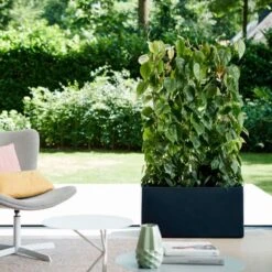 Elho Vivo Matt Finish Lang Wielen 90 - Grote Staande Plantenbak Voor Binnen & Buiten - Gemaakt Van Gereycled Plastic - L 39 X W 88 X H 41 Cm - Zwart 16 Elho Vivo Matt Finish Lang Wielen 90 - Grote Staande Plantenbak Voor Binnen & Buiten - Gemaakt Van Gereycled Plastic - L 39 X W 88 X H 41 Cm - Zwart -Tuinhuis Shop 1200x1200 386