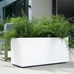 Elho Vivo Matt Finish Lang Wielen 90 - Grote Staande Plantenbak Voor Binnen & Buiten - Gemaakt Van Gereycled Plastic - L 39 X W 88 X H 41 Cm - Wit 16 Elho Vivo Matt Finish Lang Wielen 90 - Grote Staande Plantenbak Voor Binnen & Buiten - Gemaakt Van Gereycled Plastic - L 39 X W 88 X H 41 Cm - Wit -Tuinhuis Shop 1200x1200 389