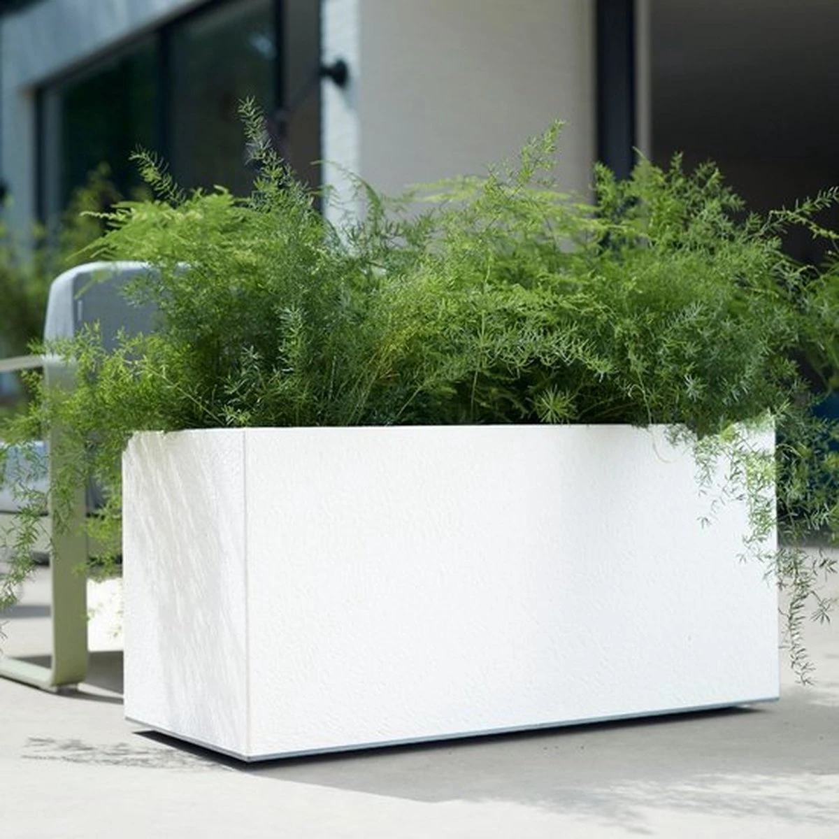 Elho Vivo Matt Finish Lang Wielen 90 - Grote Staande Plantenbak Voor Binnen & Buiten - Gemaakt Van Gereycled Plastic - L 39 X W 88 X H 41 Cm - Wit 7 Elho Vivo Matt Finish Lang Wielen 90 - Grote Staande Plantenbak Voor Binnen & Buiten - Gemaakt Van Gereycled Plastic - L 39 X W 88 X H 41 Cm - Wit - Afbeelding 7