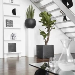 Capi Europe - Bloempot Vierkant Smooth NL - 50x50x50 - Zwart - Voor Binnen En Buiten - KBL904 -Tuinhuis Shop 1200x1200 427