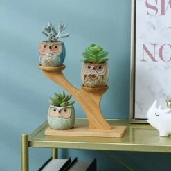 Luxe Bamboe Houten Boom Met 3 Keramiek Uil Bloempotten/Plantenpotten Op Standaard/Voet Voor Binnen En Buiten - Modern Design Bloempot/Plantenpot Op Poten/Pootjes-Plantenbak Mini Cactus Nep Plant Pot Houder - Kleine Bloembakken Plantenrek/Plantenkurk -Tuinhuis Shop 1200x1200 435