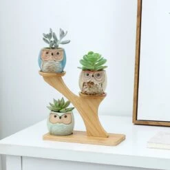 Luxe Bamboe Houten Boom Met 3 Keramiek Uil Bloempotten/Plantenpotten Op Standaard/Voet Voor Binnen En Buiten - Modern Design Bloempot/Plantenpot Op Poten/Pootjes-Plantenbak Mini Cactus Nep Plant Pot Houder - Kleine Bloembakken Plantenrek/Plantenkurk -Tuinhuis Shop 1200x1200 436