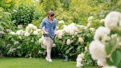 Bosch EasyGrassCut 18V-26 Grastrimmer - Zonder Accu En Lader -Tuinhuis Shop 1200x675 11