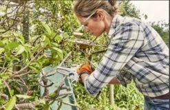 Stihl Accu Mini Kettingzaag SET - Snoeischaar - Snoeizaag - Hand Kettingzaag - Professioneel- Hovenier- Tuinman -Tuinhuis Shop 1200x779