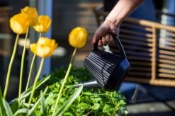 Xala - Gieter Doppio Groove 2L Olijfgrijs 5 Xala - Gieter Doppio Groove 2L Olijfgrijs -Tuinhuis Shop 1200x799 29