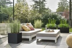 Elho Vivo Next Vierkant 40 - Plantenbak Voor Binnen & Buiten - Ø 39.0 X H 37.9 Cm - Zwart/Living Black -Tuinhuis Shop 1200x800 102