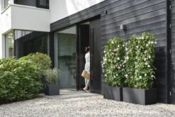 Elho Vivo Next Vierkant 40 - Plantenbak Voor Binnen & Buiten - Ø 39.0 X H 37.9 Cm - Zwart/Living Black -Tuinhuis Shop 1200x800 103