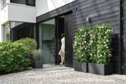 Elho Vivo Next Vierkant 40 - Plantenbak Voor Binnen & Buiten - Ø 39.0 X H 37.9 Cm - Zwart/Living Black -Tuinhuis Shop 1200x800 104