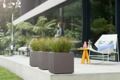 Elho Vivo Structure Finish Vierkant 40 - Plantenbak Voor Binnen & Buiten - Ø 39 X H 41 - Grijs/Warm Grijs 17 Elho Vivo Structure Finish Vierkant 40 - Plantenbak Voor Binnen & Buiten - Ø 39 X H 41 - Grijs/Warm Grijs -Tuinhuis Shop 1200x800 106