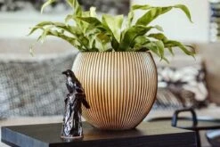 Capi Europe - Vaas Bol Groove XL - 63x51 - Goud - Bloempot Voor Binnen - Opening ⌀42 - GVGB271 7 Capi Europe - Vaas Bol Groove XL - 63x51 - Goud - Bloempot Voor Binnen - Opening ⌀42 - GVGB271 -Tuinhuis Shop 1200x800 108