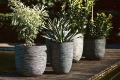 Capi Europe - Bloempot Bol Rib NL - 35x34 - Antraciet - Voor Binnen En Buiten - KOFZ932 -Tuinhuis Shop 1200x800 109
