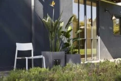 Capi Europe - Bloempot Vierkant Smooth NL - 50x50x50 - Zwart - Voor Binnen En Buiten - KBL904 -Tuinhuis Shop 1200x800 111