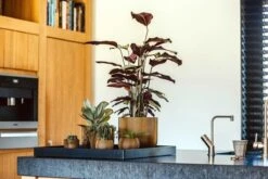 Capi Europe - Vaas Bol Groove XL - 39x33 - Goud - Bloempot Voor Binnen - Opening ⌀24 - GVGB270 8 Capi Europe - Vaas Bol Groove XL - 39x33 - Goud - Bloempot Voor Binnen - Opening ⌀24 - GVGB270 -Tuinhuis Shop 1200x800 114