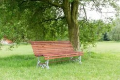 MaximaVida Tuinbank Budapest Oil 170 Cm - Uit Exclusief Mahoniehout -Tuinhuis Shop 1200x800 33