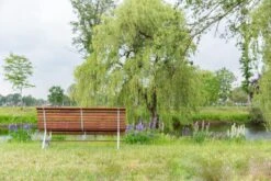 MaximaVida Tuinbank Budapest Oil 170 Cm - Uit Exclusief Mahoniehout -Tuinhuis Shop 1200x800 34