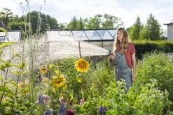 GARDENA - Comfort Broeskop - 5 Straalsoorten - Grijs 27 GARDENA - Comfort Broeskop - 5 Straalsoorten - Grijs -Tuinhuis Shop 1200x800 68