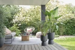 Elho Pure Coupe 41 - Bloempot Voor Binnen & Buiten - Ø 41.3 X H 57.9 Cm - Zwart/Zwart 18 Elho Pure Coupe 41 - Bloempot Voor Binnen & Buiten - Ø 41.3 X H 57.9 Cm - Zwart/Zwart -Tuinhuis Shop 1200x805 1