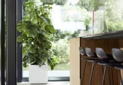 Elho Vivo Matt Finish Vierkant Wielen 40 - Grote Plantenbak Voor Binnen & Buiten - Gemaakt Van Gereycled Plastic - L 39 X W 39 X H 41 Cm - Wit 10 Elho Vivo Matt Finish Vierkant Wielen 40 - Grote Plantenbak Voor Binnen & Buiten - Gemaakt Van Gereycled Plastic - L 39 X W 39 X H 41 Cm - Wit -Tuinhuis Shop 1200x832 1