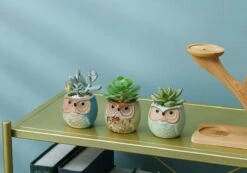 Luxe Bamboe Houten Boom Met 3 Keramiek Uil Bloempotten/Plantenpotten Op Standaard/Voet Voor Binnen En Buiten - Modern Design Bloempot/Plantenpot Op Poten/Pootjes-Plantenbak Mini Cactus Nep Plant Pot Houder - Kleine Bloembakken Plantenrek/Plantenkurk -Tuinhuis Shop 1200x840