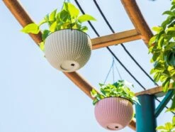 Hangpot Kunststof – Bloempot Hangend – Binnen & Buiten- Plantenhanger –Incl. Afvoerstop – 26 Cm - Zwart -Tuinhuis Shop 1200x904 2