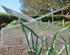 Royal Well Broeikas Silver Thyme -Tuinhuis Shop 1200x947