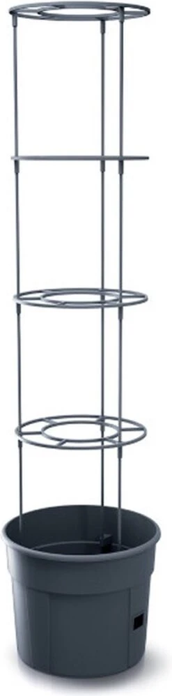 TOMATENPOT VOOR HET KWEKEN VAN TOMATEN PROSPERPLAST 28L 13 TOMATENPOT VOOR HET KWEKEN VAN TOMATEN PROSPERPLAST 28L -Tuinhuis Shop 297x1200