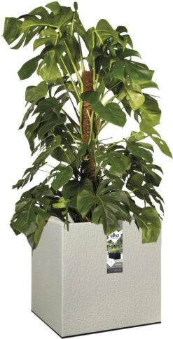 Elho Vivo Structure Finish Vierkant 40 - Plantenbak Voor Binnen & Buiten - Ø 39 X H 41 - Grijs/Warm Grijs 16 Elho Vivo Structure Finish Vierkant 40 - Plantenbak Voor Binnen & Buiten - Ø 39 X H 41 - Grijs/Warm Grijs -Tuinhuis Shop 613x1200