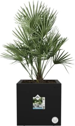 Elho Vivo Next Vierkant 40 - Plantenbak Voor Binnen & Buiten - Ø 39.0 X H 37.9 Cm - Zwart/Living Black -Tuinhuis Shop 720x1200 1