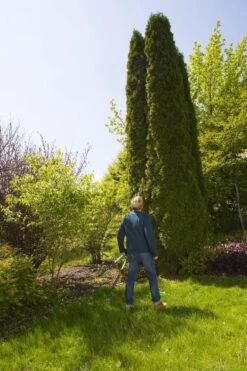 GARDENA TeleCut Heggenschaar - Telescopische Handgrepen Van 70-90 Cm -Tuinhuis Shop 799x1200 2