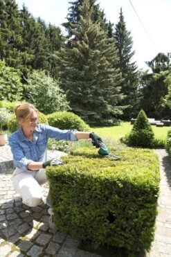 Bosch ISIO Gen III Accu Buxusschaar + Grasschaar 8 Bosch ISIO Gen III Accu Buxusschaar + Grasschaar -Tuinhuis Shop 800x1200