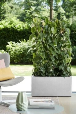 Elho Vivo Structure Finish Lang 90 - Plantenbak Voor Binnen & Buiten - Ø 88 X H 41 - Wit -Tuinhuis Shop 800x1200 26