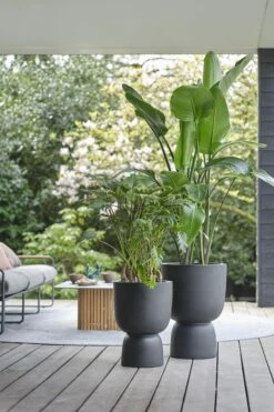 Elho Pure Coupe 41 - Bloempot Voor Binnen & Buiten - Ø 41.3 X H 57.9 Cm - Zwart/Zwart 27 Elho Pure Coupe 41 - Bloempot Voor Binnen & Buiten - Ø 41.3 X H 57.9 Cm - Zwart/Zwart -Tuinhuis Shop 800x1200 32